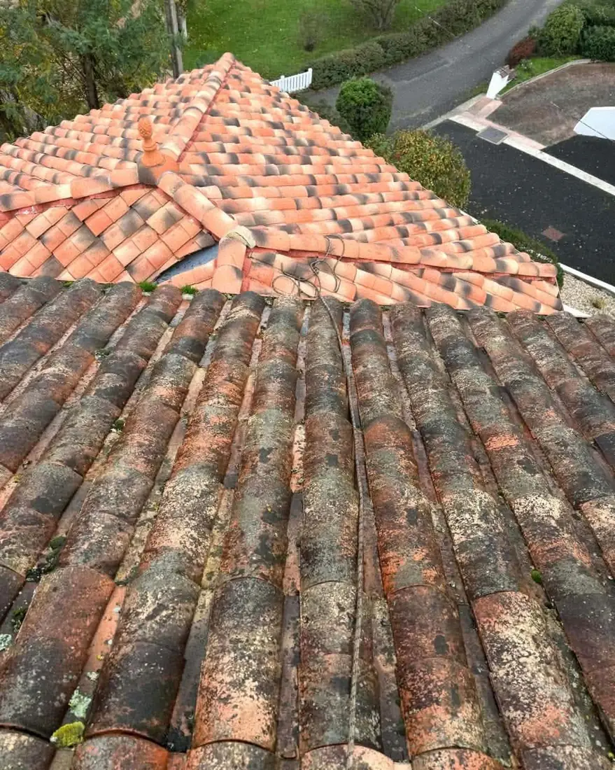 Tuiles canal salies par la mousse et les lichens