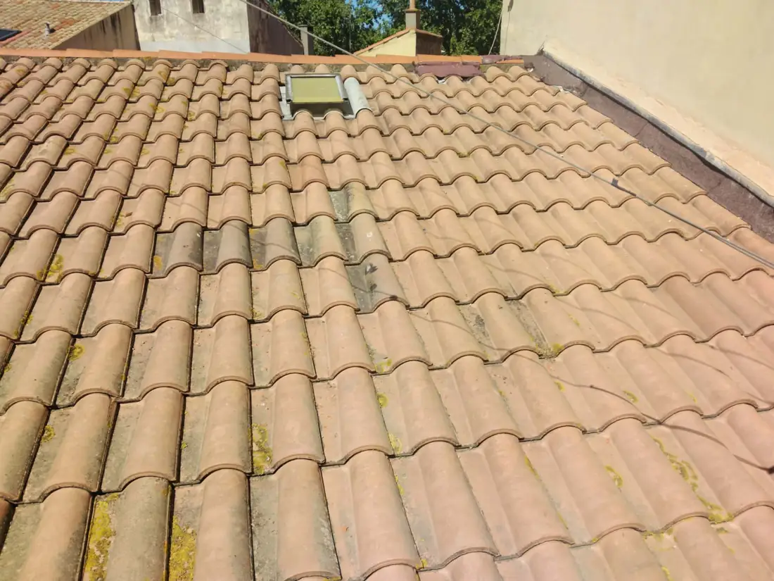 Toiture en tuiles avec mousse avant nettoyage